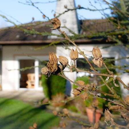 Ferienhaeuser Seepark Ternsche Selm Exterior foto